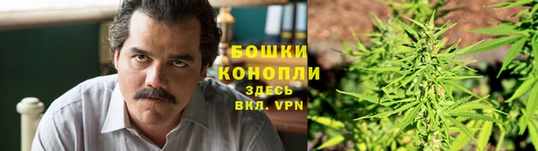 сатива Алзамай