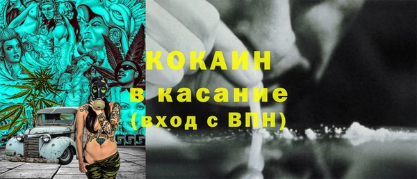 сатива Алзамай
