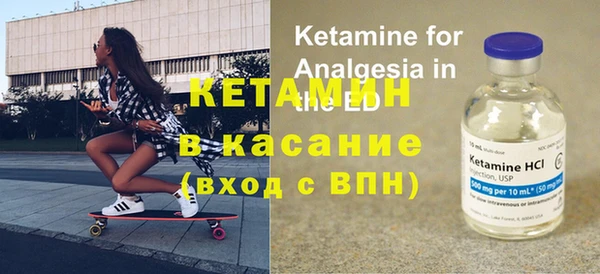 сатива Алзамай