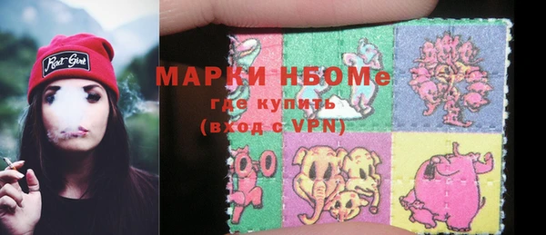 сатива Алзамай