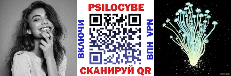 Галлюциногенные грибы Psilocybe  Ярцево 